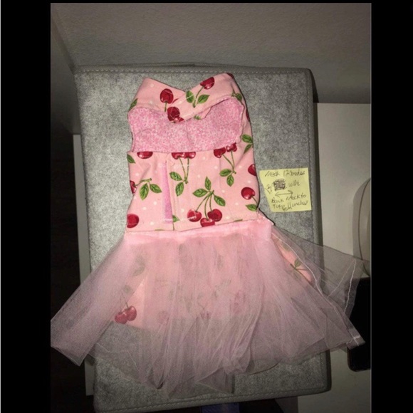 🌹3 for $10🌹Homemade Dog Clothes/ Cherry Dress - Measurements Provided - Picture 2 of 2